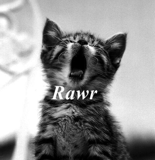rawr