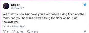 sex-is-cool-but-jokes-1513681415