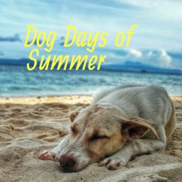 Dog Days of Summer
