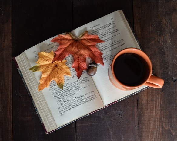 book and fall leaves