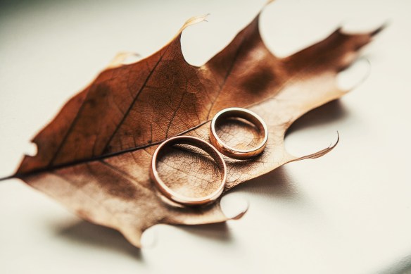 wedding rings with leaves