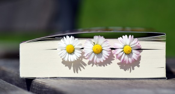 book with daisies