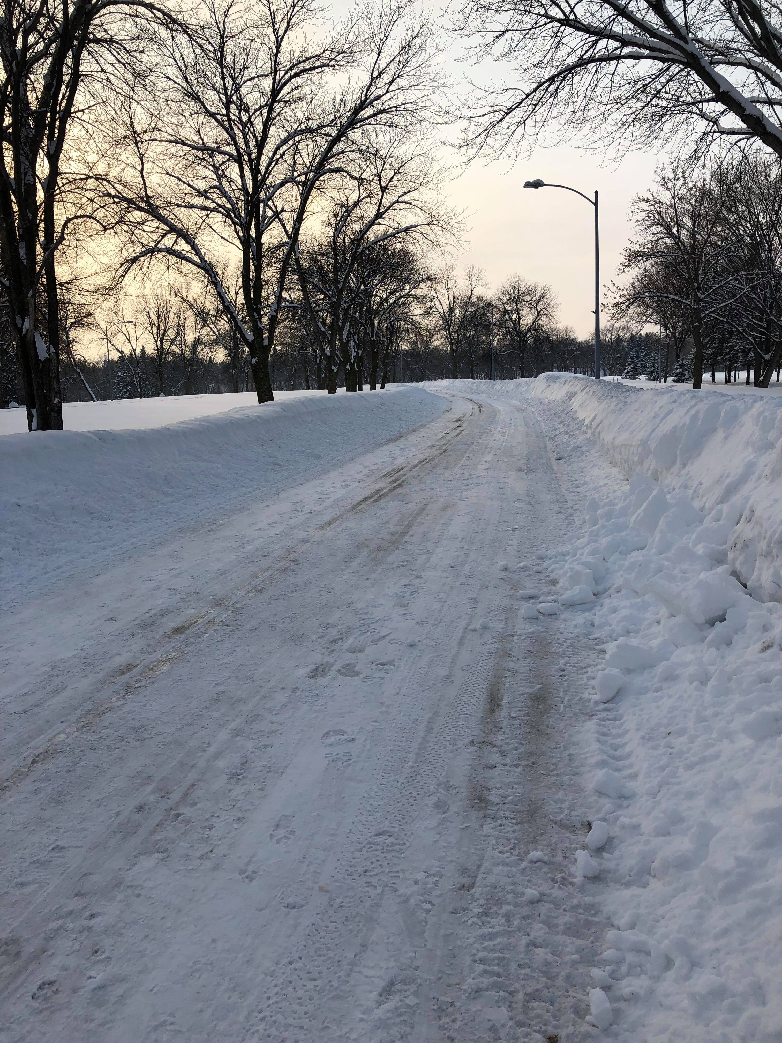 snow trail goosberry