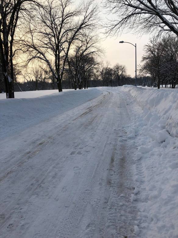 snow trail goosberry