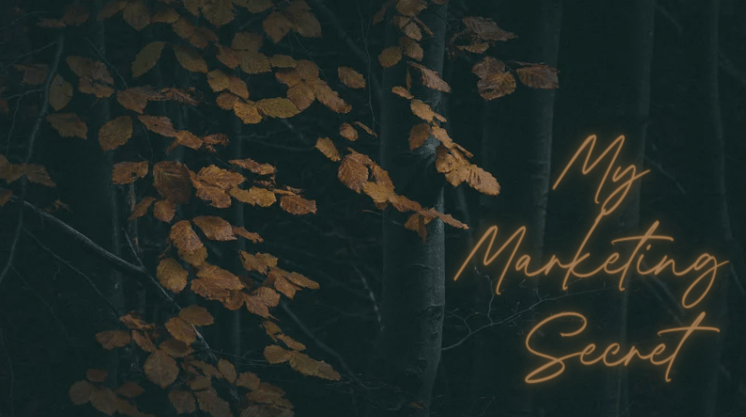 fall leaves on dark background. text says: My marketing secret