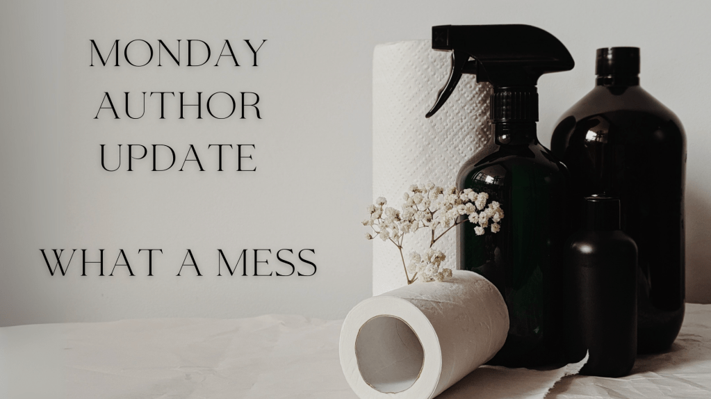 cleaning supplies.   black spray bottle and plain bottle. two white tubes of paper towels with a sprig of baby's breath (god knows why)

Text says, monday author update. what a mess