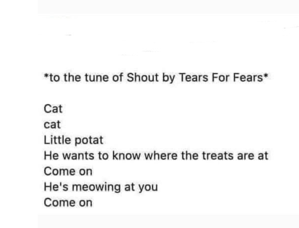 Facebook meme. sung to the tune of "shout" by tears to fears

the text says

cat
cat
little potat
he wants to know where the treats are at
come on
he's meowing at you
come on
