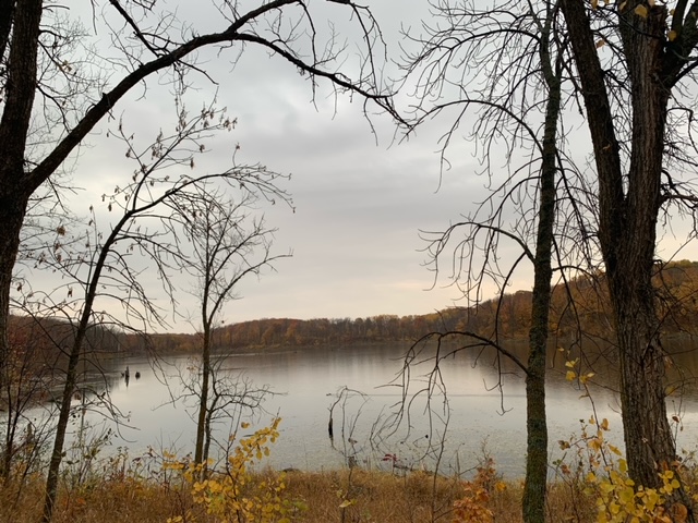 murky photo of a lake through dark brown and black tree branches. brown and orange trees off in the distance
